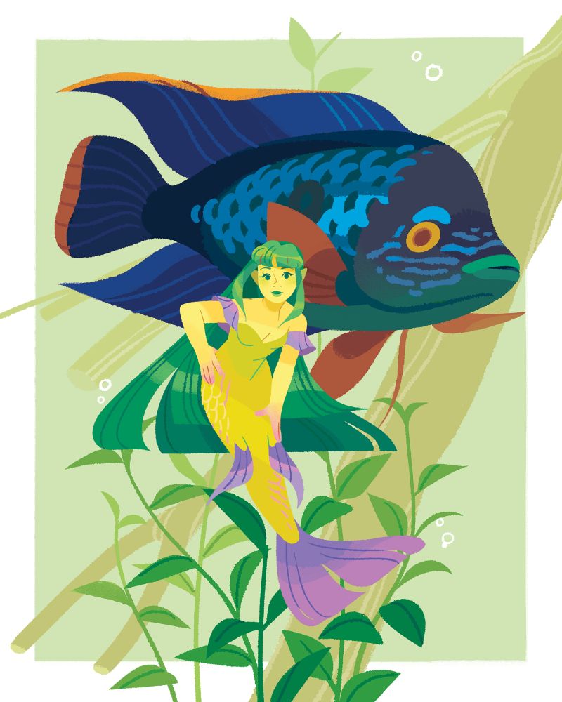 A yellow mermaid with long, green hair and hand on her hip. A green terror cichlid swims behind her. Leafy aquatic plants and a gnarled branch sit in the background