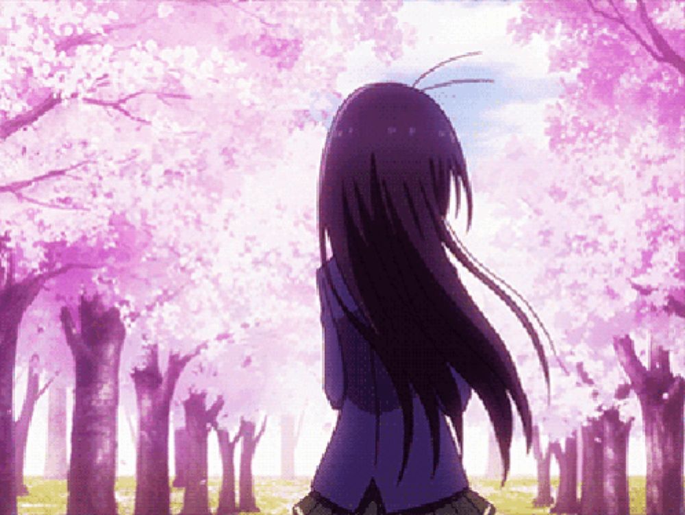 a girl with long black hair stands in front of a field of cherry blossoms