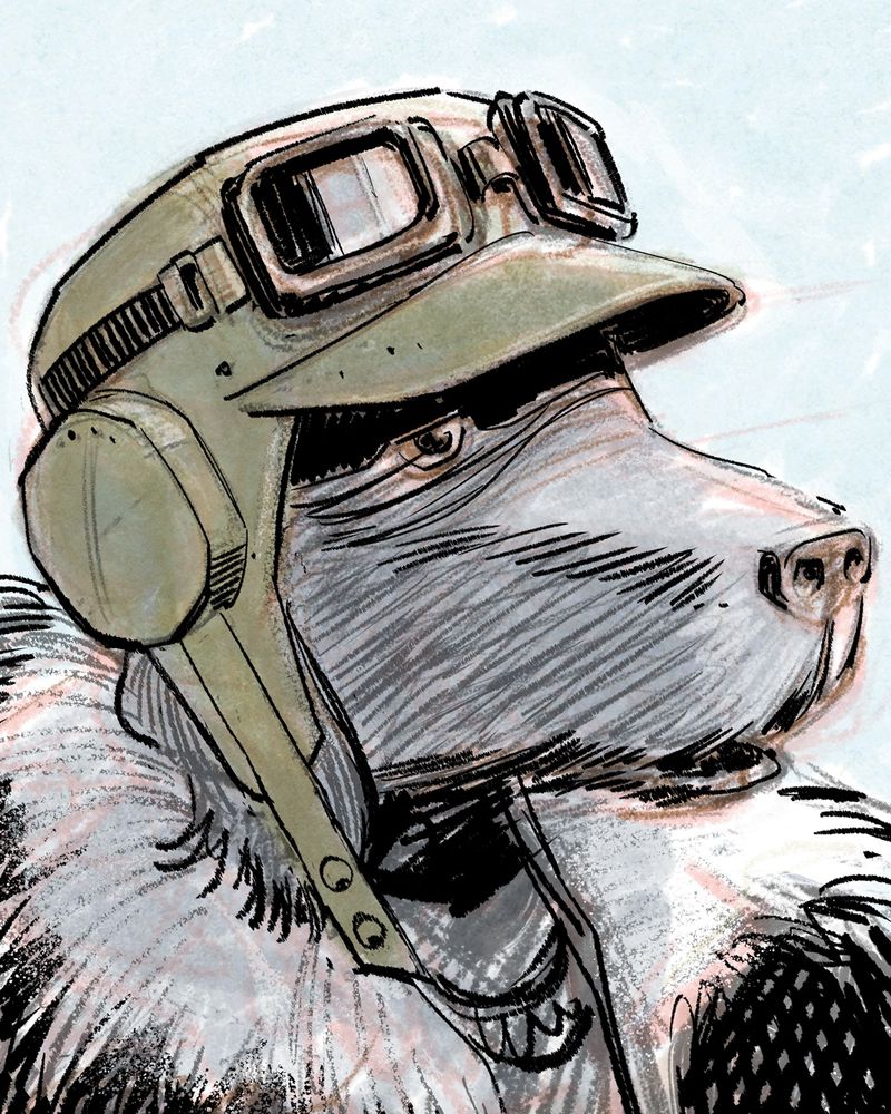 Rough character design drawing of an anthropomorphic grey dog wearing a green WWII style pilot's hat and goggles.