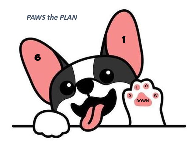 Brave votes for pressing paws