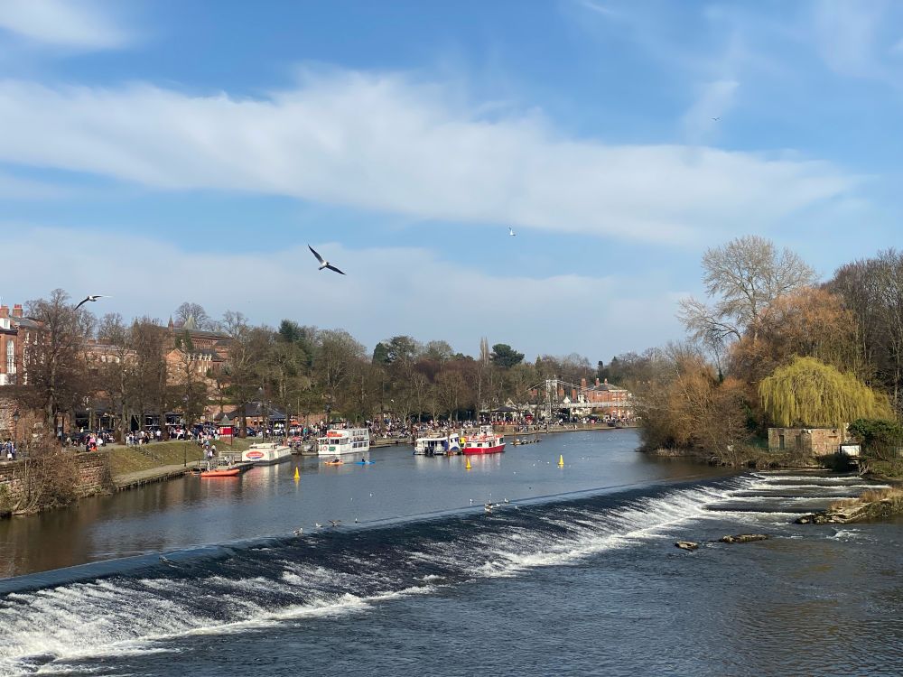 Many people can be seen along the Groves by the River Dee in Chester. Some pleasure boats are on the water and a seagull is flying above the water.