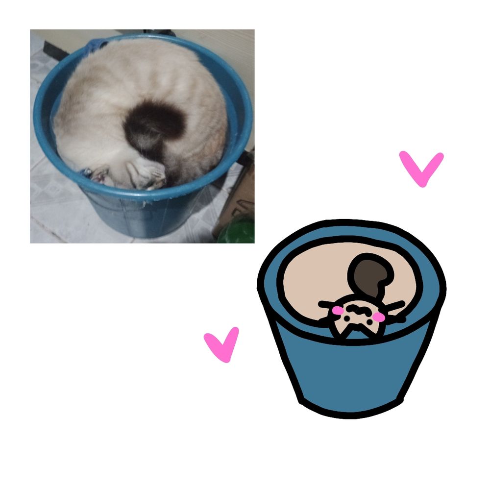 Comment image
