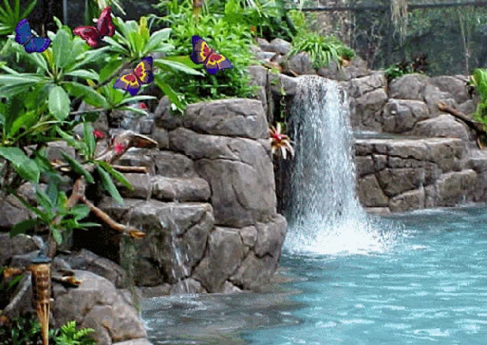 a waterfall surrounded by rocks and plants with butterflies in the foreground