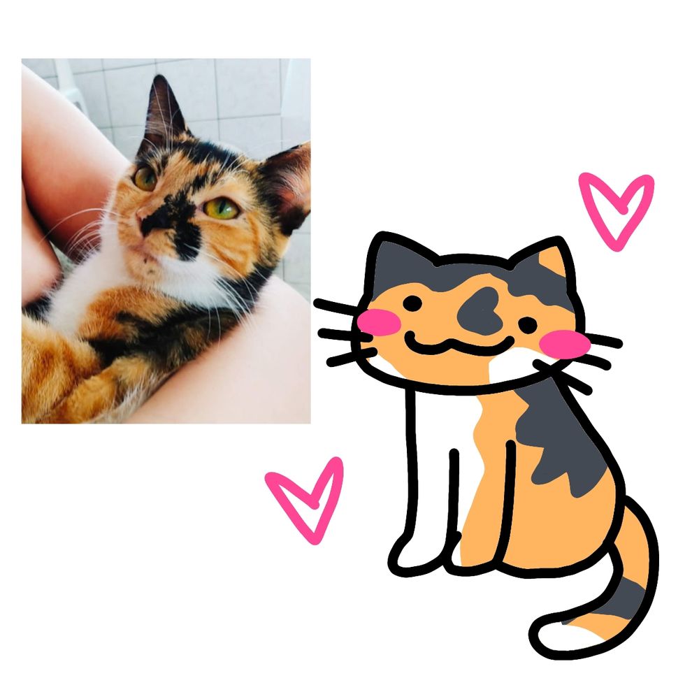 Comment image