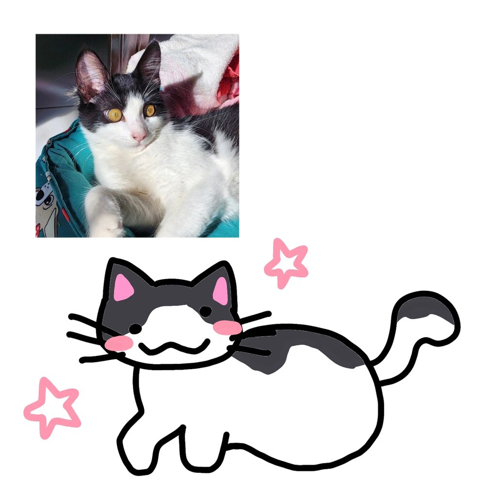 Comment image