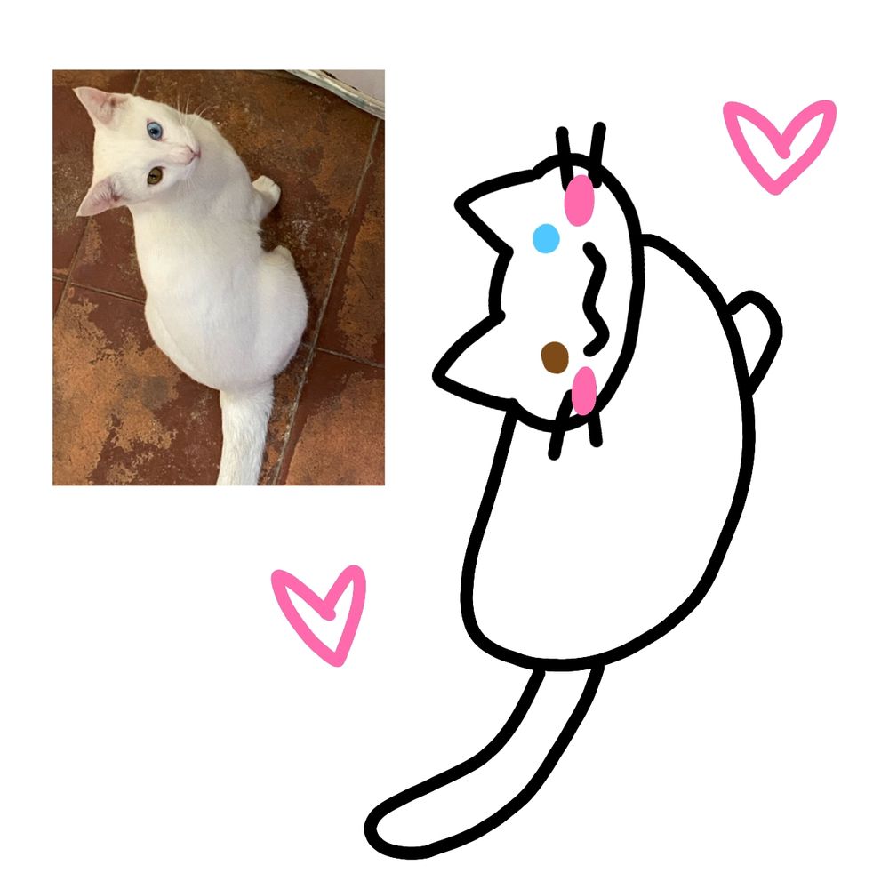 Comment image