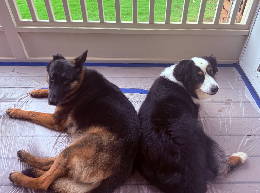 Maggie and Max!