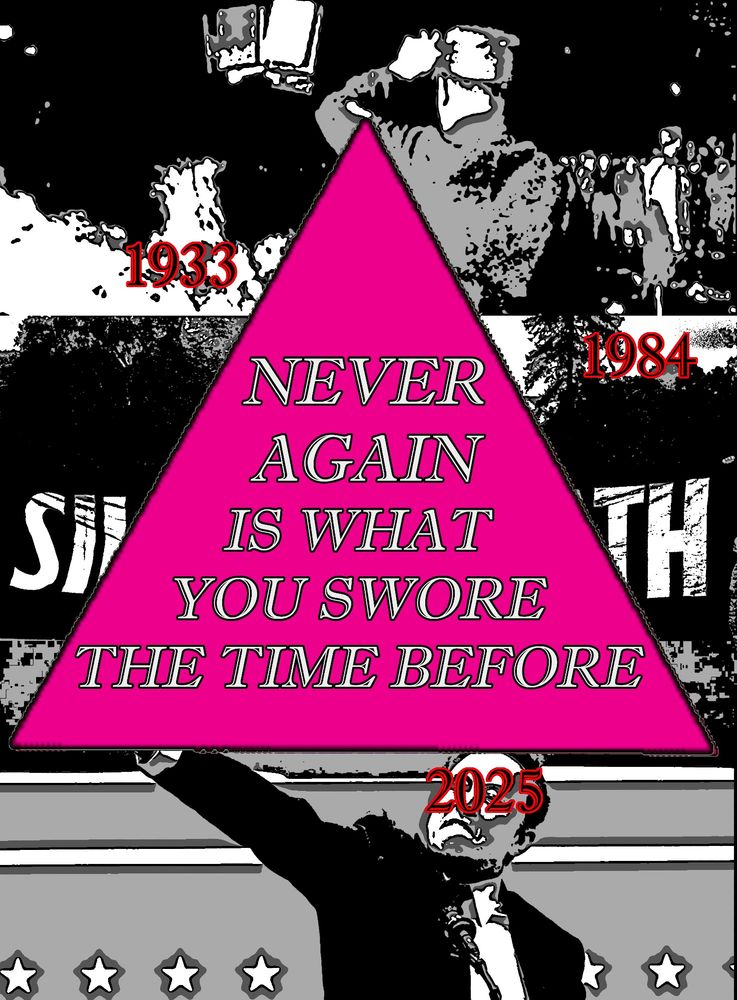 Foreground: A Large Pink Triangle, pointing upwards, with white text emblazoned upon it reading "Never Again Is What You Swore The Time Before"

Background: A triptych of 3 photos in black & white. Top To bottom, 1933 Nazi Official Burning Books from the Institute For Sexual Research, an early LGBTQ+ rights organization. Then a largely obscured banner of the 1980s black banner with "Silence = Death" in white block letters. Bottom is an image of some rich white guy throwing what looks like a Nazi Salute. 

Arrayed around the triangle in black lettering with red outline, in the appropriate sections are the years "1933", "1984", and "2025"