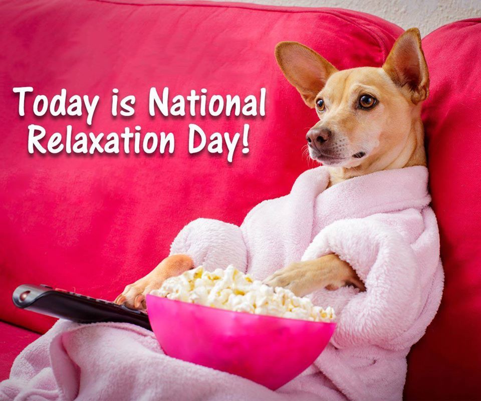 A dog sitting on a pink sofa dressed in a pink bathrobe with a bowl of popcorn and a TV remote in it's lap. The words "Today is National Relaxation Day!" is displayed above it.