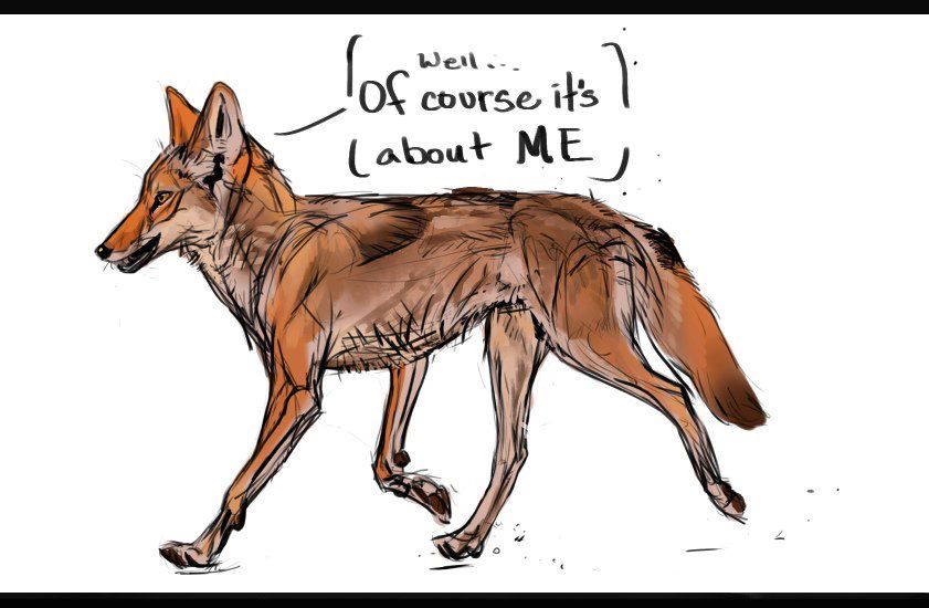 Digital sketch of a trotting coyote saying “well…of course it’s about ME”. 