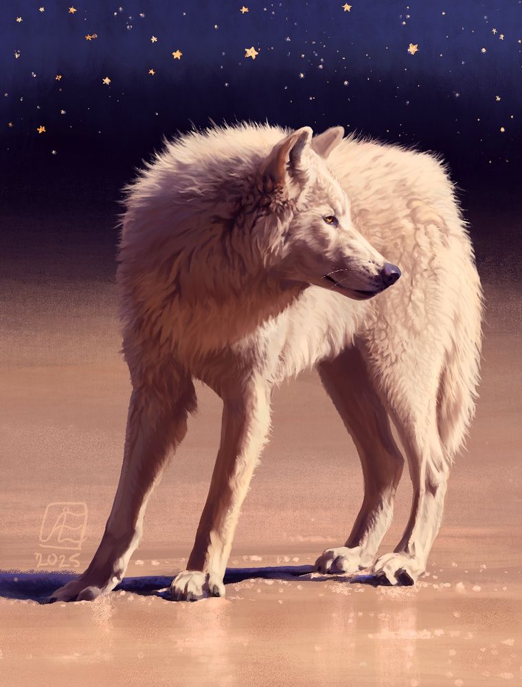 A brightly lit white wolf stands in three quarters view, looking off to the right with head in profile, one foreleg slightly extended. The warm golden ground shimmers and fades into a deep dusky violet background and blue sky studded with painted orange and yellow stars. 