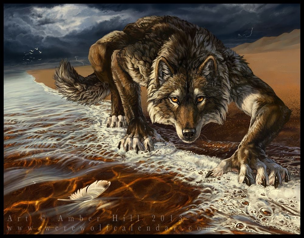 A dark brown werewolf with pale fur accents crouches on a beach at the very edge of the water, paws soaking in the foamy surf. The background is stormy grey, the deeply bruised clouds hanging low in the sky. A few birds and lighting etch white shapes against the dark. A single feather floats atop the water in the foreground.
