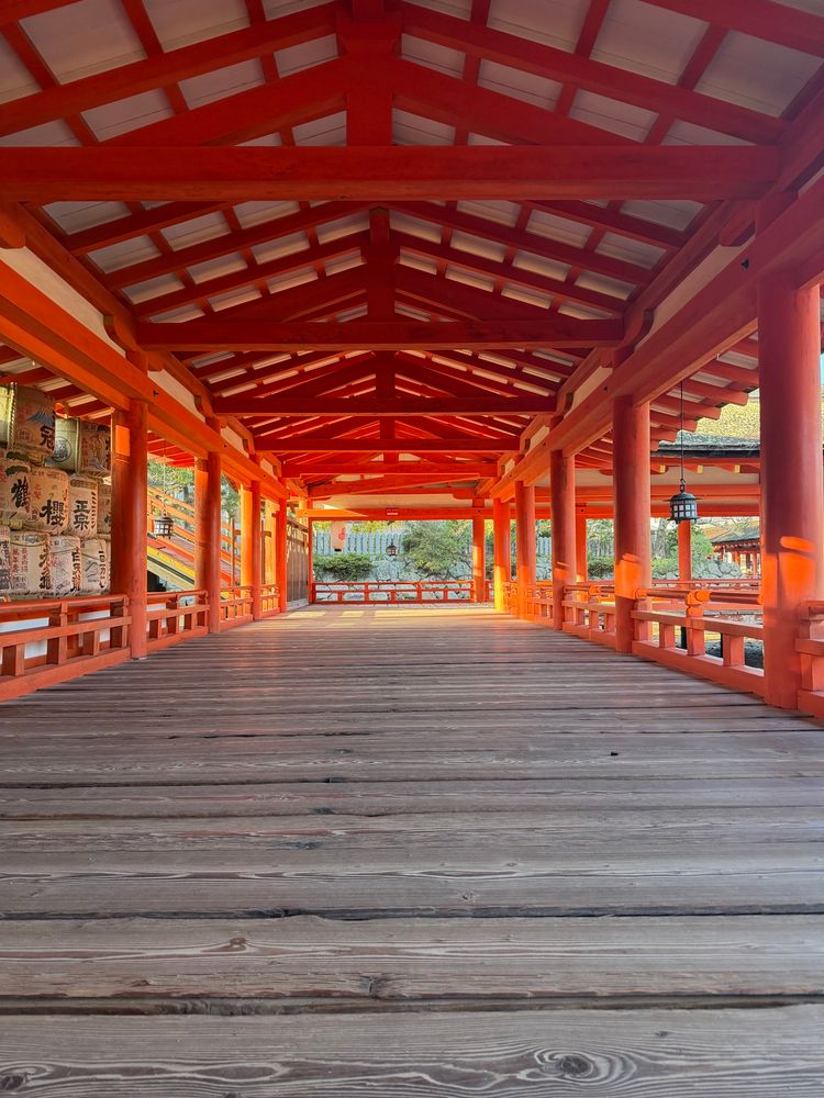 A vermillion Japanese Buddhist temple, lit by morning sunlight so that the interior glows vibrant orange. 