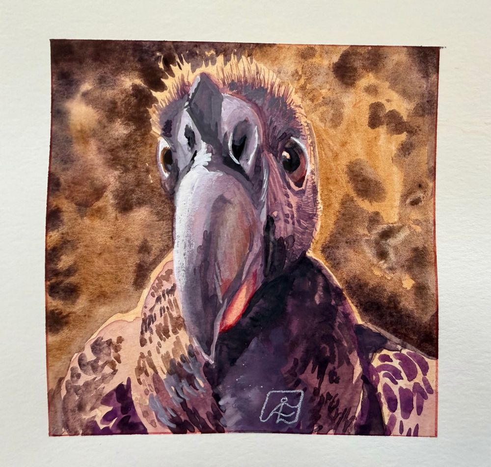 A loose painting of a young king vulture looking very close into the camera. He is panted with warm purples and golden ochres.