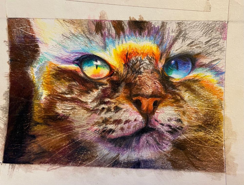 Colored pencil portrait of a long haired tabby cat with a a bright rainbow splashed over her eyes.