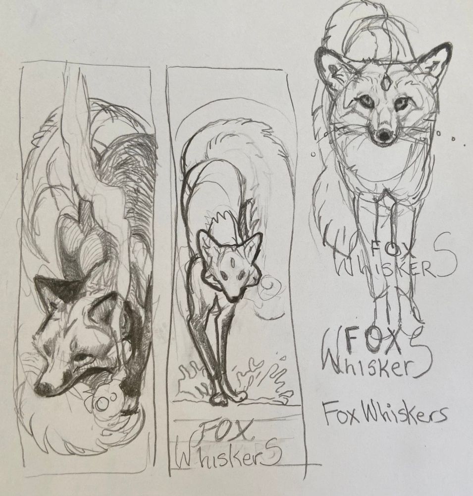 Pencil sketches of foxes. 