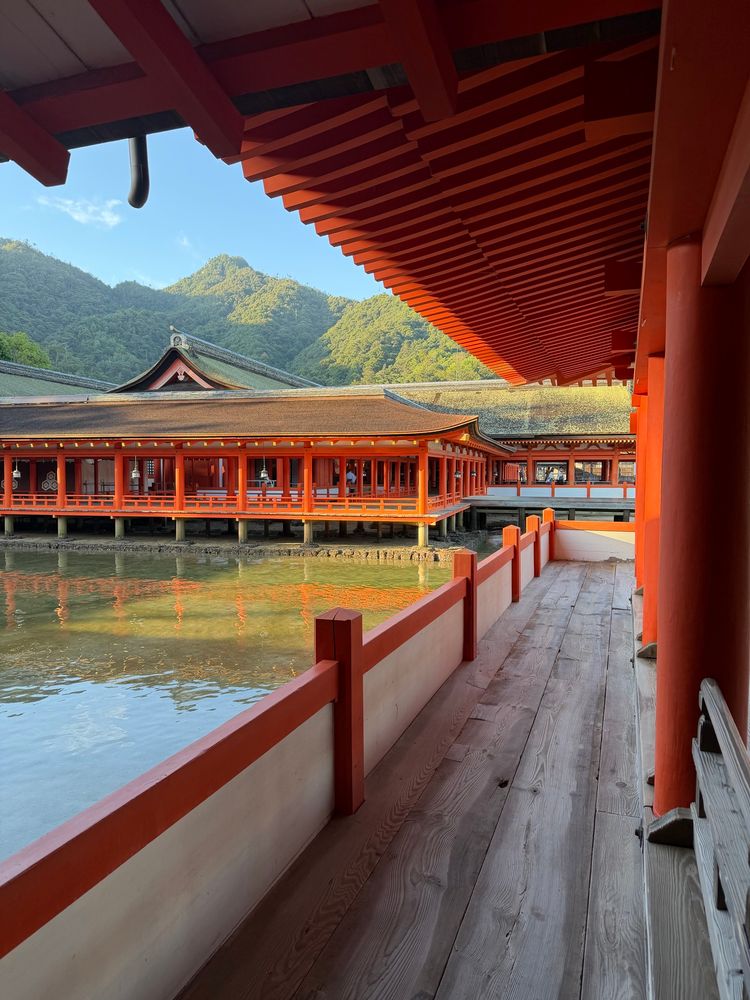 Vermillion Japanese Buddhist temple buildings in high tide, lit by morning sunlight and forested mountains and blue sky. 