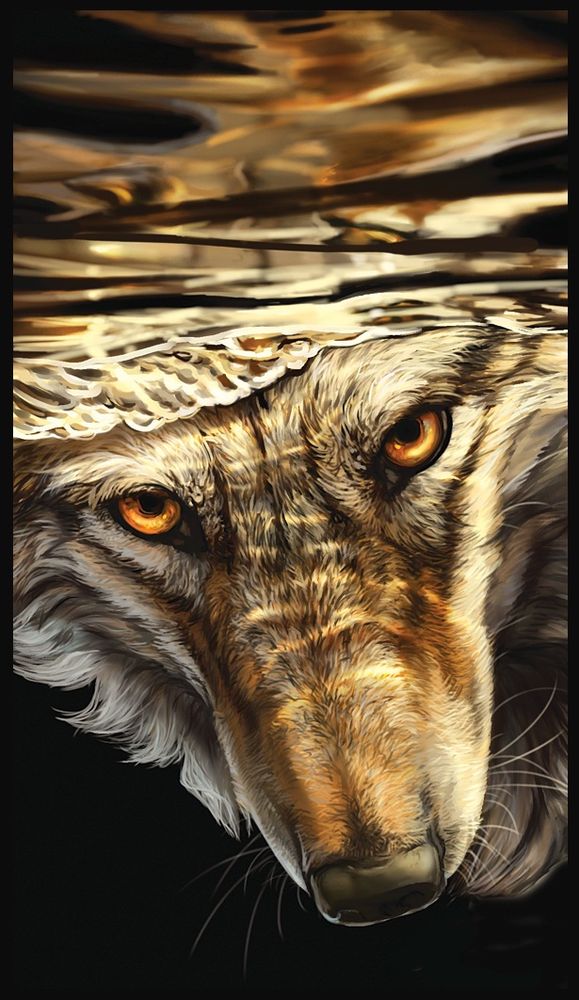An underwater wolf stares into your soul with fiery golden eyes while a dazzling reflection dances above.