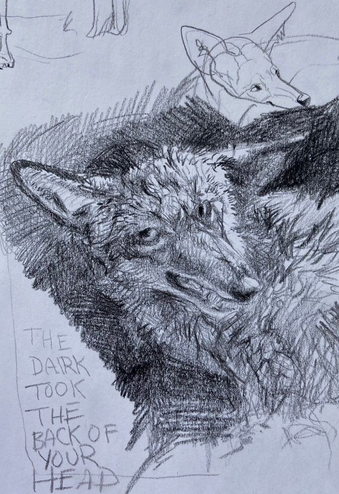 A scratchy pencil sketch of a coyote face and shoulder, one ear askew and teeth showing in a shit eating grin. It reads “THE DARK TOOL YHE BACK OF YOUR HEAD”
