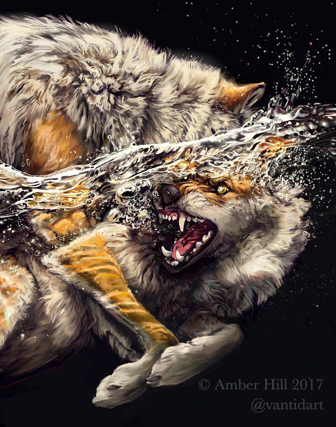The scene is Split View with a line of churninh water dividing the composition in half. Two wolves, one above water, the other below, appear to be fighting. The face of the wolf above water is hidden, only an ear is visible and the rest of the face is buried in, possibly sinking into, the opposing wolf. The underwater wolf is clearly agitated and struggling against the weight pressing him beneath water, keeping him from lifesaving aid. His teeth flash and eyes flash in a snarl, his features surrounded by frothing bubbles.