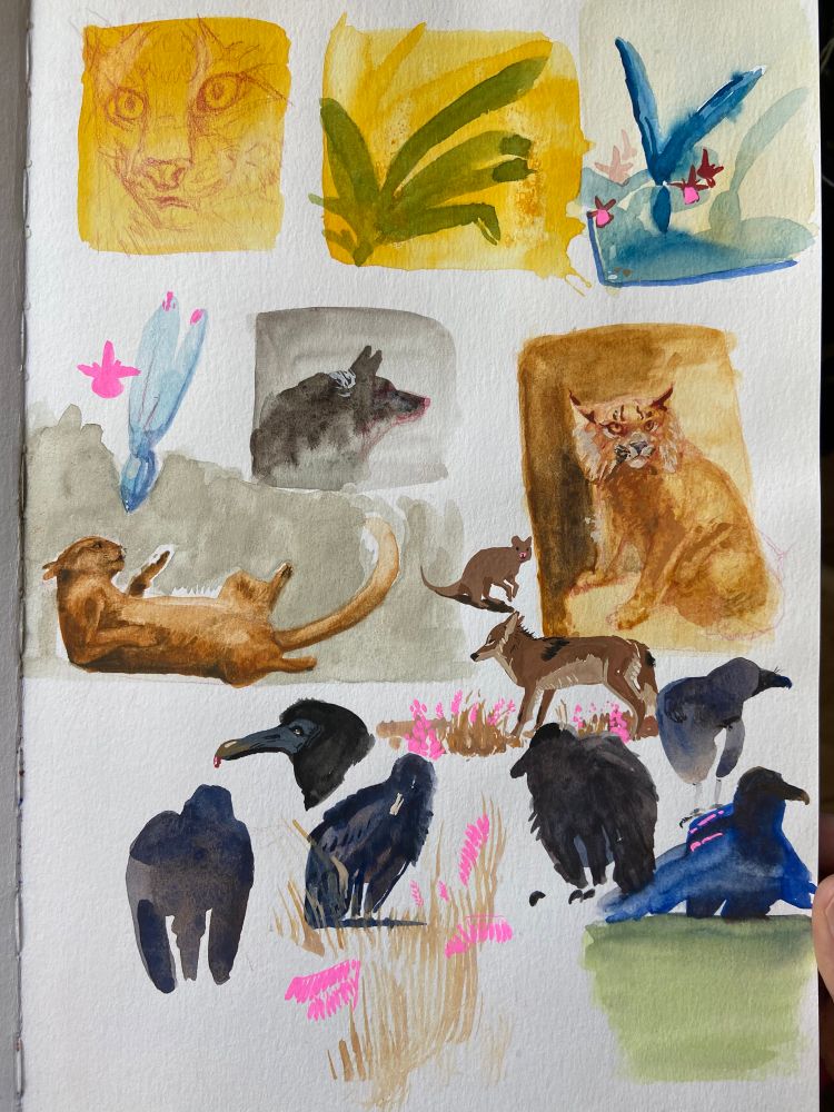 Watercolor sketches on beta series sketchbook.
