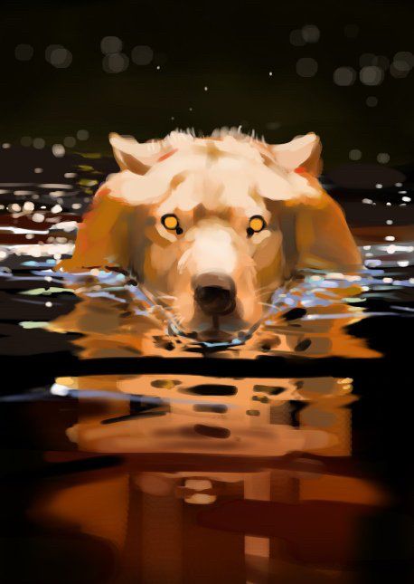 A wolf swims toward the viewer, it’s head seen above water, it’s eyes vacant and eerie above its shimmery reflection.