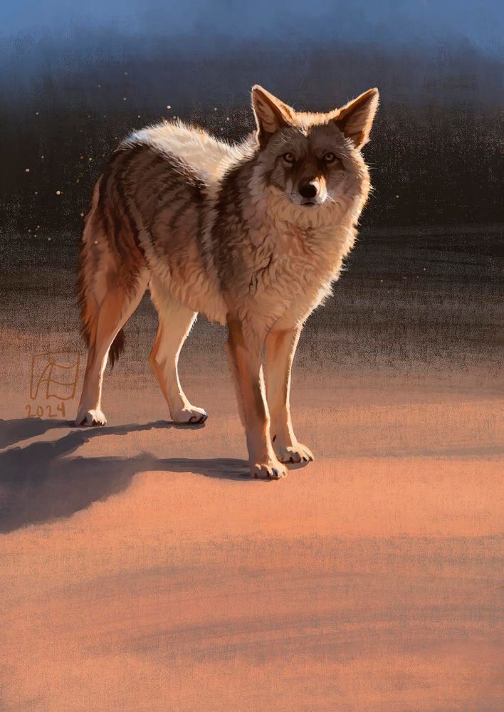 A digital painting of a coyote in bright sunlight looking at the viewer standing against a blue and apricot background. 
