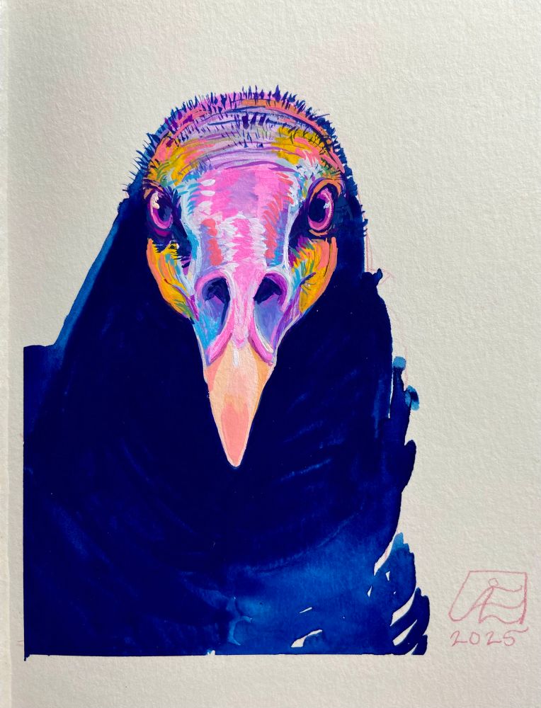 A loose painting of a yellow headed vulture in deep and vibrant blues, yellows, and  pinks. The vulture is looking at the viewer with magenta eyes. 