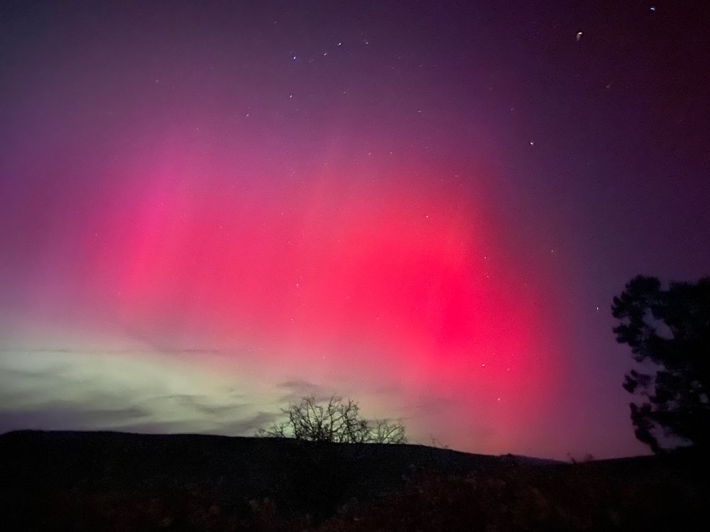 Long exposure of a red aurora borealis with trees silhouetted around the dark horizon.
