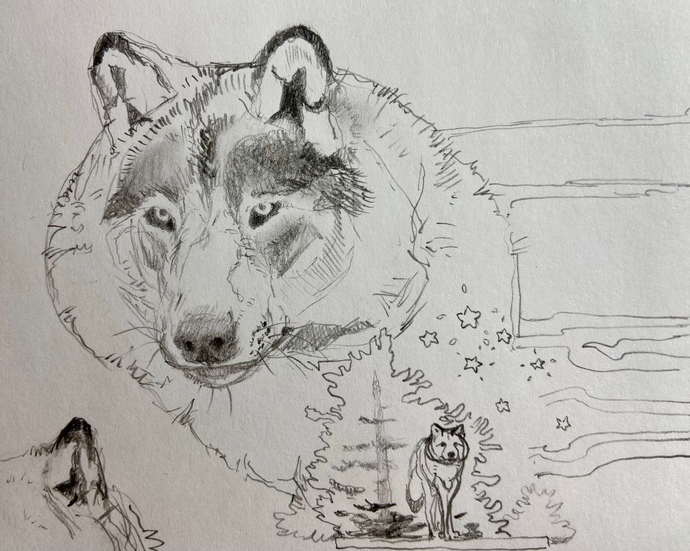 A pencil drawing of a wolf face turned slightly to the left of the page 285$- an inset featuring a tree and another wolf. 