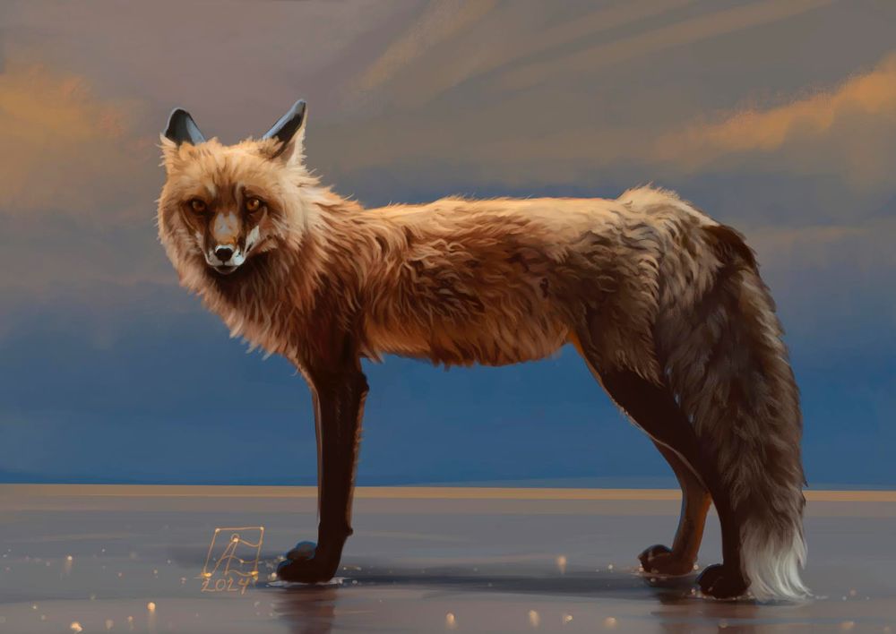A digital painting of a red fox looking at the viewer with ears pointed back, standing on what could be wet sand glinting in the sunlight. The background is a blue and apricot sky. 