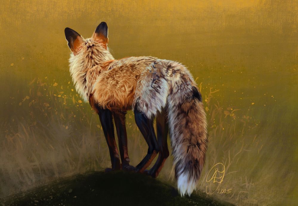 A digital painting of a red fox Looking away from the viewer standing against a golden green grassy background. 