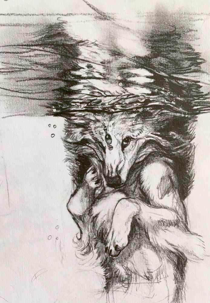 The character Vantid drawn in pencil underwater near the surface so that their reflection shimmers above. One paw pushes the thick mane of fur near their face. 