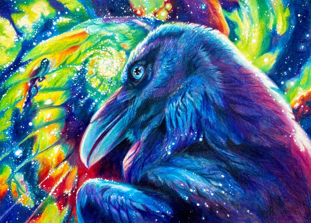 A dark blue raven in profile backlitwith a blue eye backlit by pinkish purple light surrounded by a colorful spiral of stars and nebula energies. The back wing is upraised and merges with the celestial background .