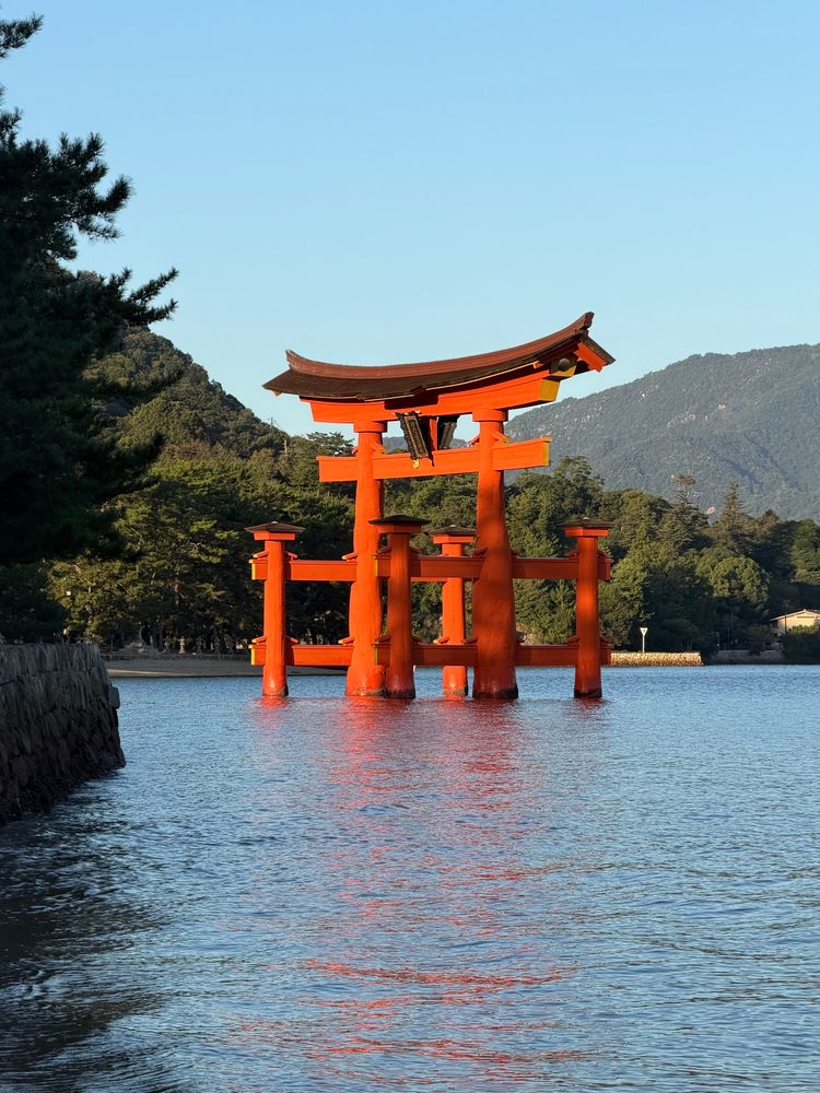 A deep vermillion torii gate lit by morning sunlight in shimmering water with forested mountains in the background.