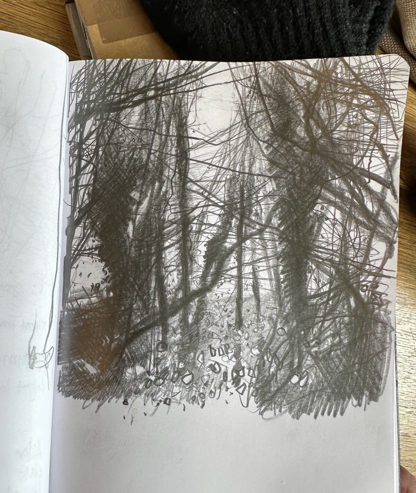Scribbled pencil drawing of a tangled woodland looking into the sun.
