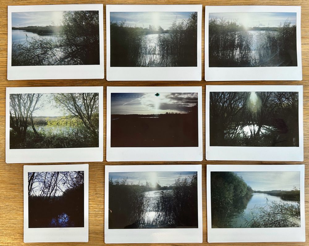 9 colour, but although almost monochrome images of the Somerset wetland landscape, including trees, reeds and water, while looking towards the sun.