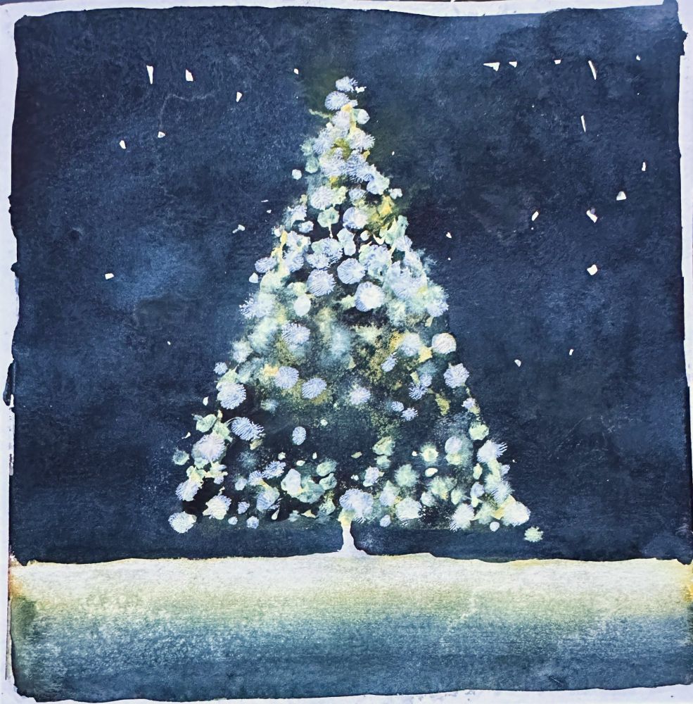 Illuminated Christmas tree at night.