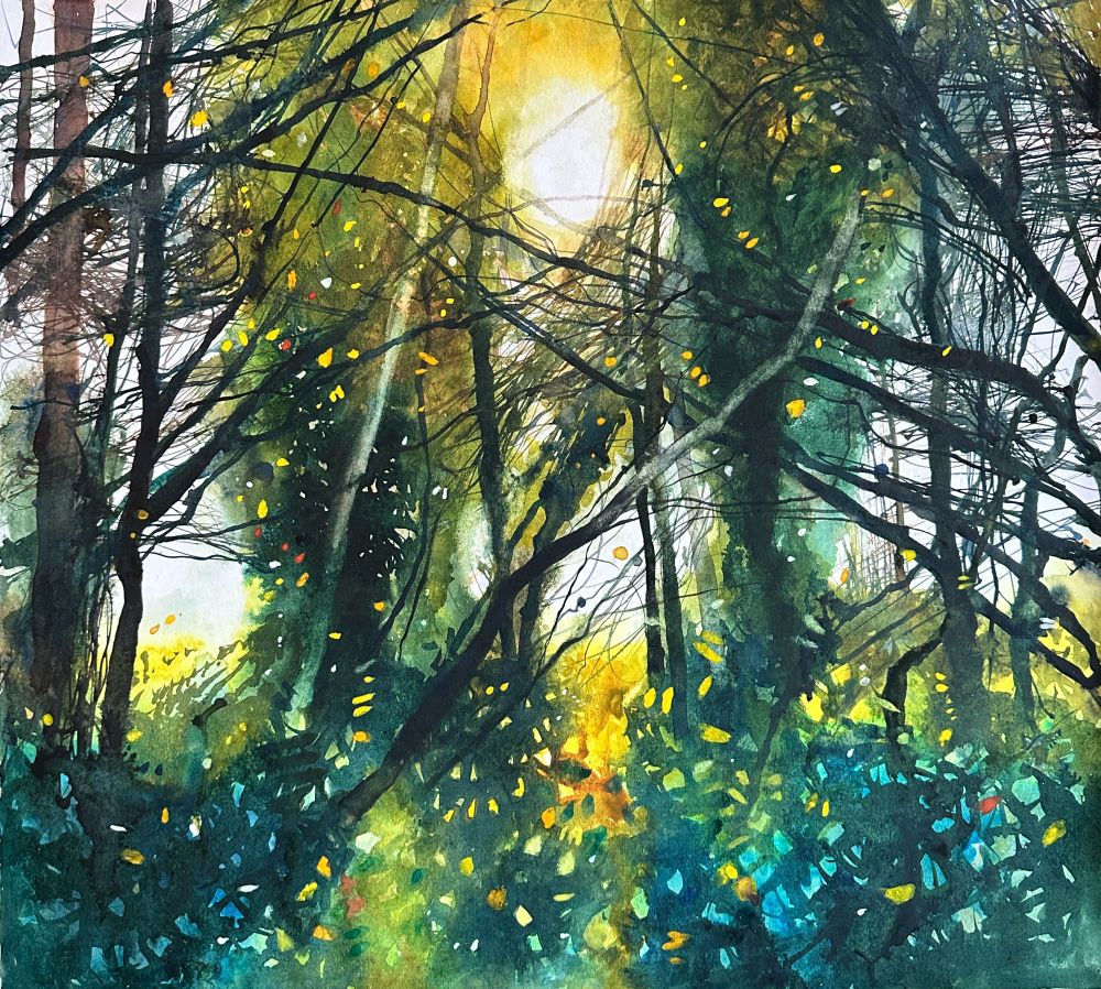 Loose watercolour painting of a tangled autumn woodland looking into the sun.