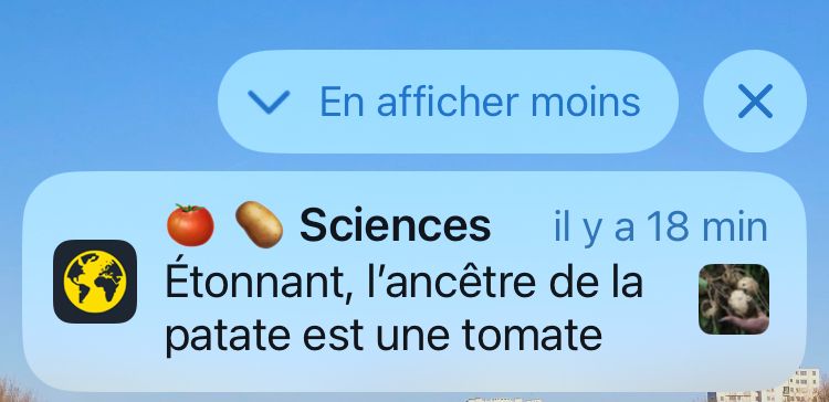 Science : « étonnant, l’a cette de la patate est une tomate »