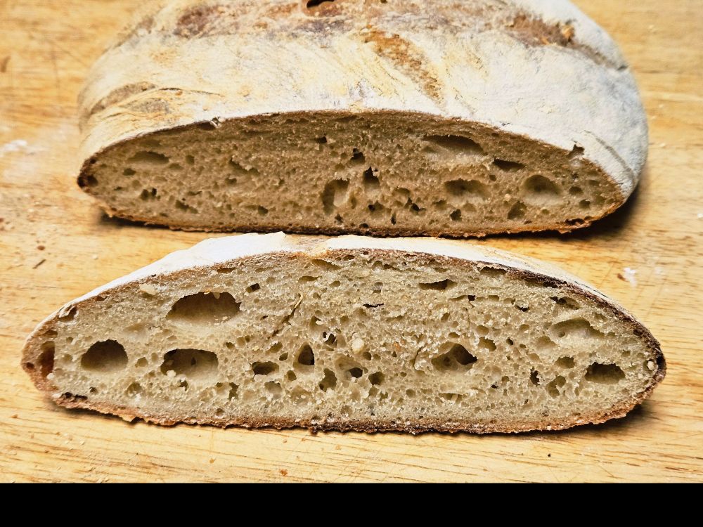 A cross cut of a sourdough bread loaf.