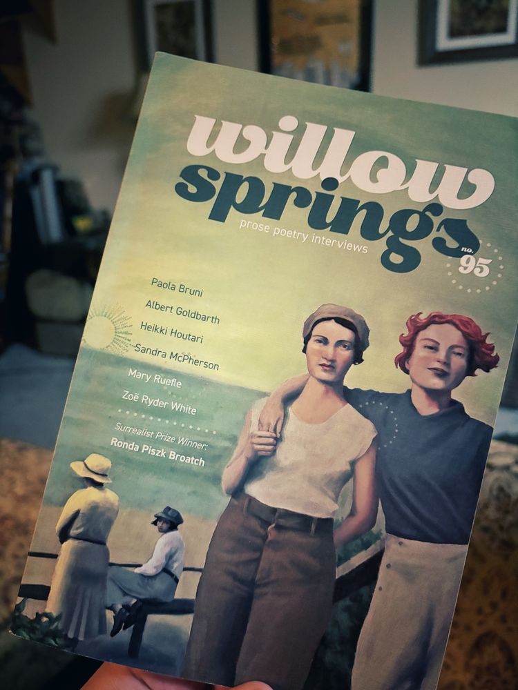 Cover of Willow Springs issue 95