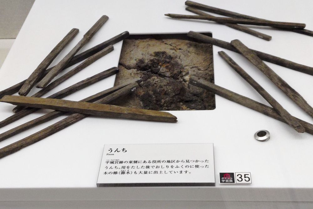 平城宮跡資料館の展示品
平城宮のトイレ遺物、棒状の物は当時のトイレットペーパー
奈文研