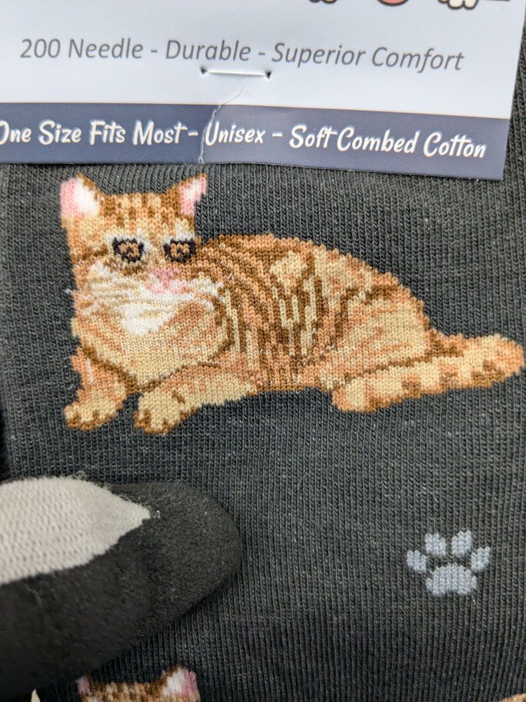 A cat on a sock with overly exaggerated eyes making it look overly stressed 