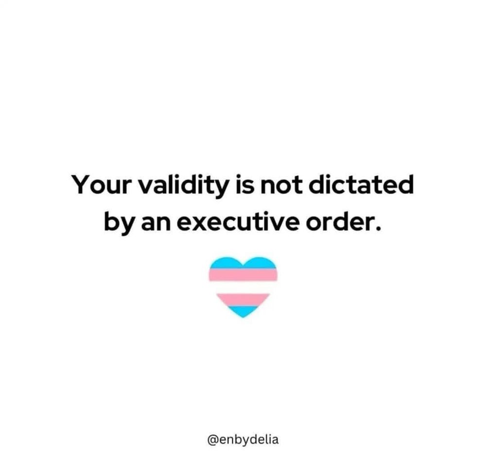 A picture of a heart bearing the cyan, pink, and white colored stripes of the trans pride flag. The text above it reads, “Your validity is not dictated by an executive order.”