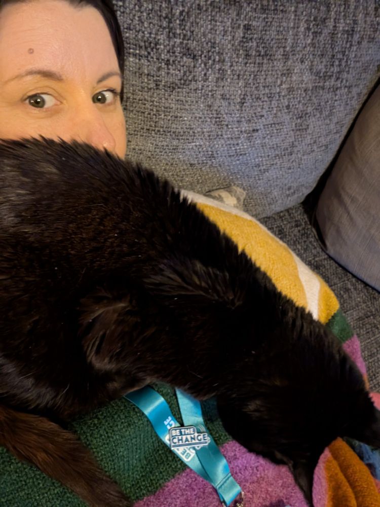 An old, black cat sits upon her owners chest