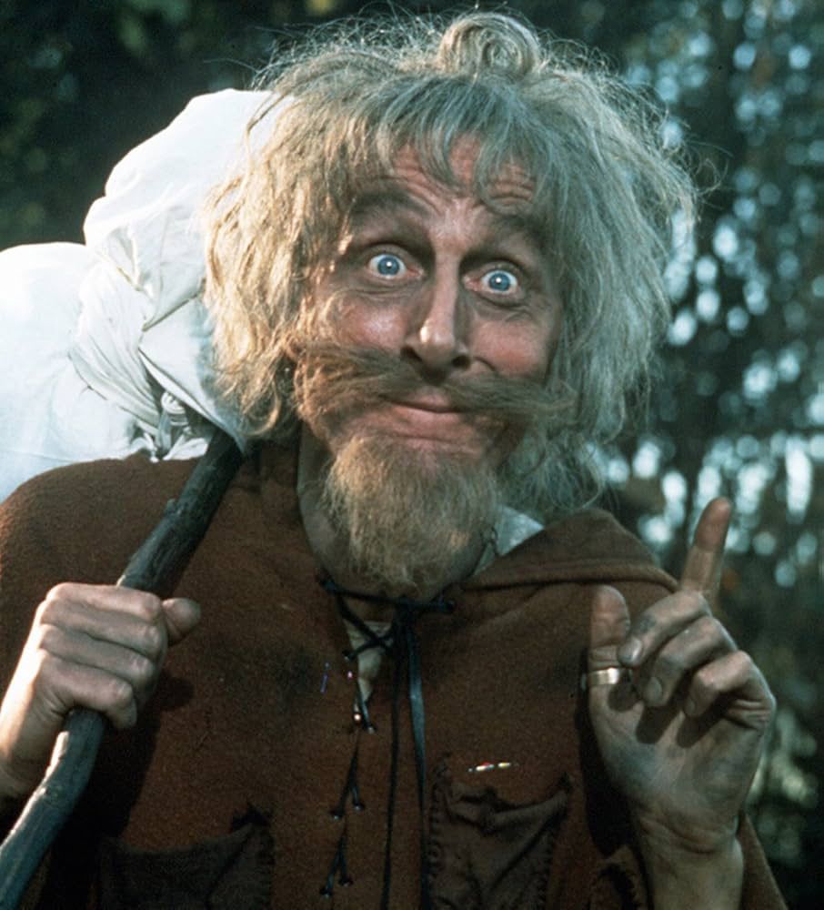 Ein Foto von Catweazel mit langem Bart und ungekämmten grauen Haaren