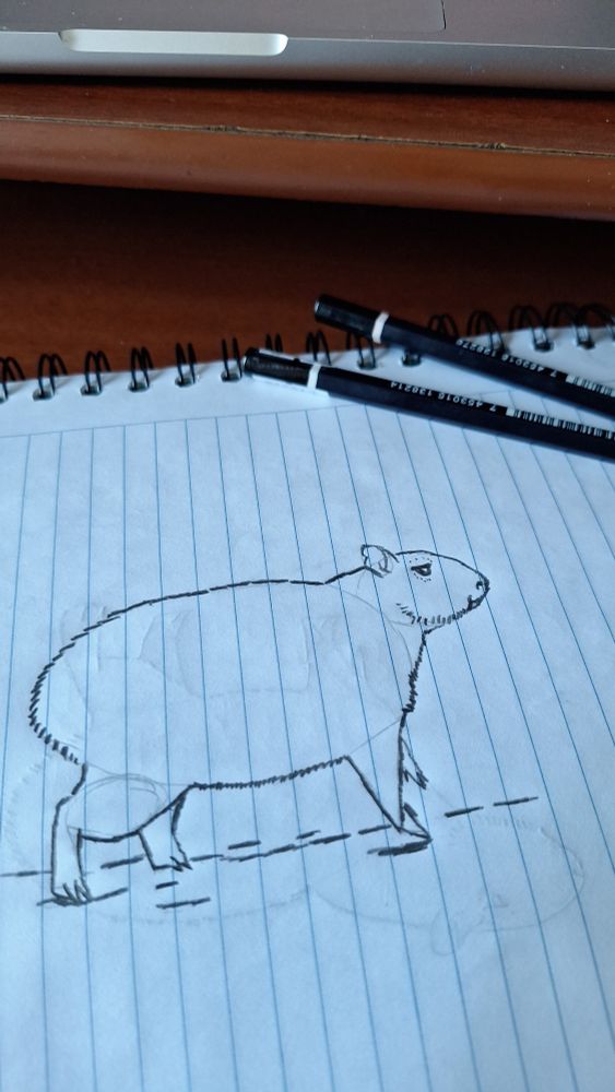 Almost drawing of a capybara 