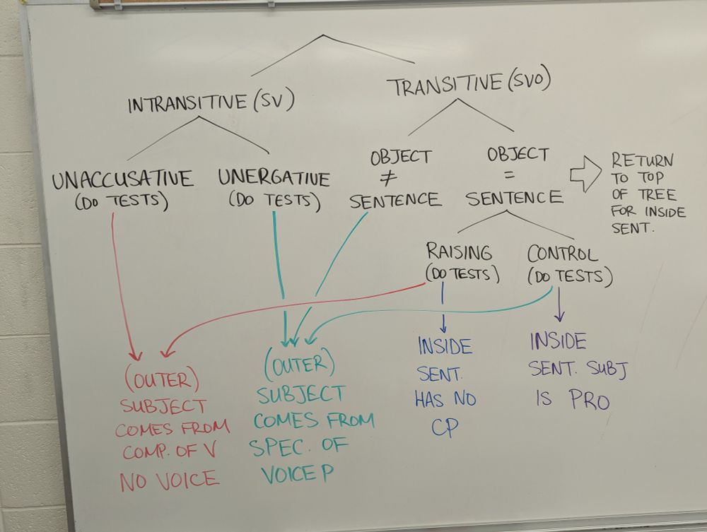 The same tree from above but now transitive says SVO