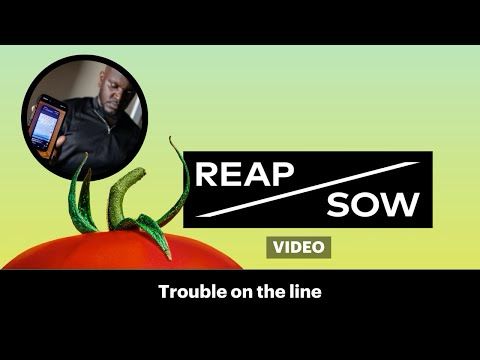 REAP/SOW Video | Trouble on the line